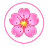 favicon sin fondo